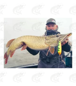 Abu Garcia® Beast Rattlin' Atom 29 Abu Garcia® Beast Rattlin' Atom -Pro Fish Gear Shop abu garcia beast rattlin atom 14