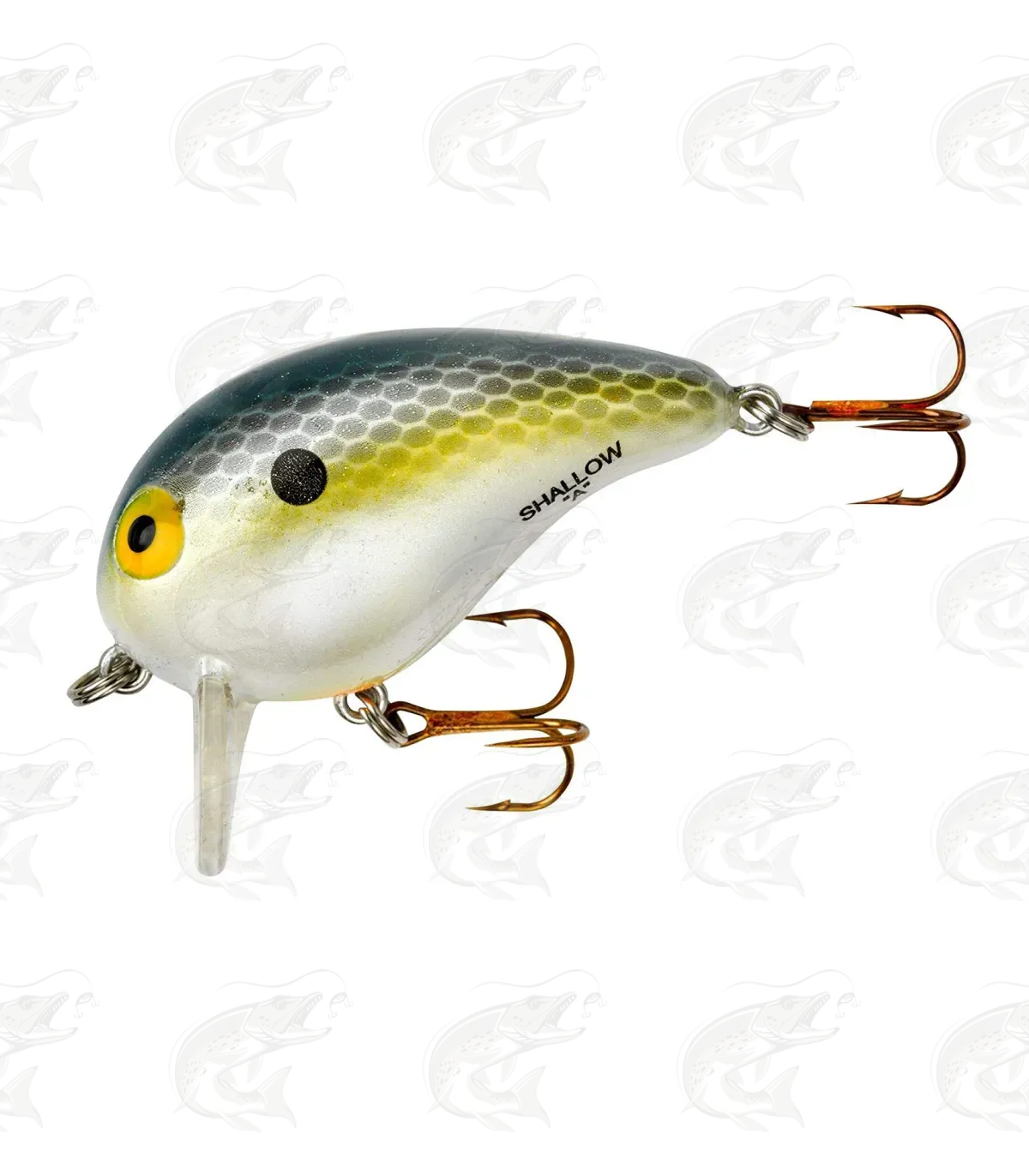 Bomber Shallow A 1 Bomber Shallow A