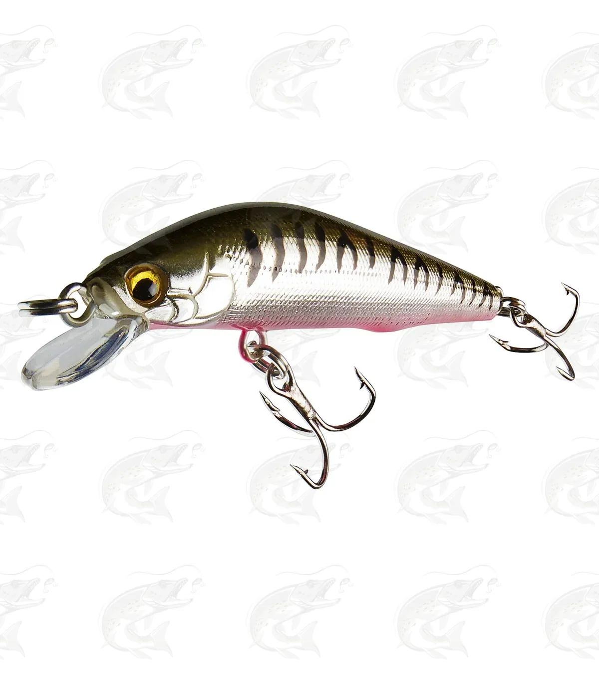 Cormoran Cor F11 2 Cormoran Cor F11 - Image 2