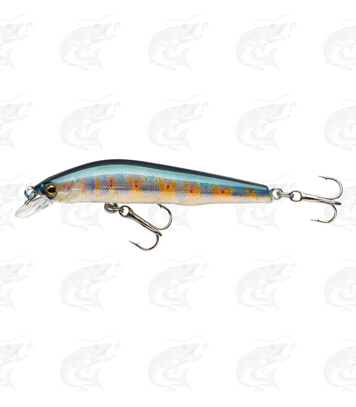 Cormoran Cor F11 4 Cormoran Cor F11 - Image 4