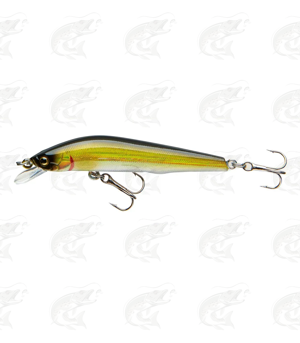 Cormoran Cor F11 5 Cormoran Cor F11 - Image 5