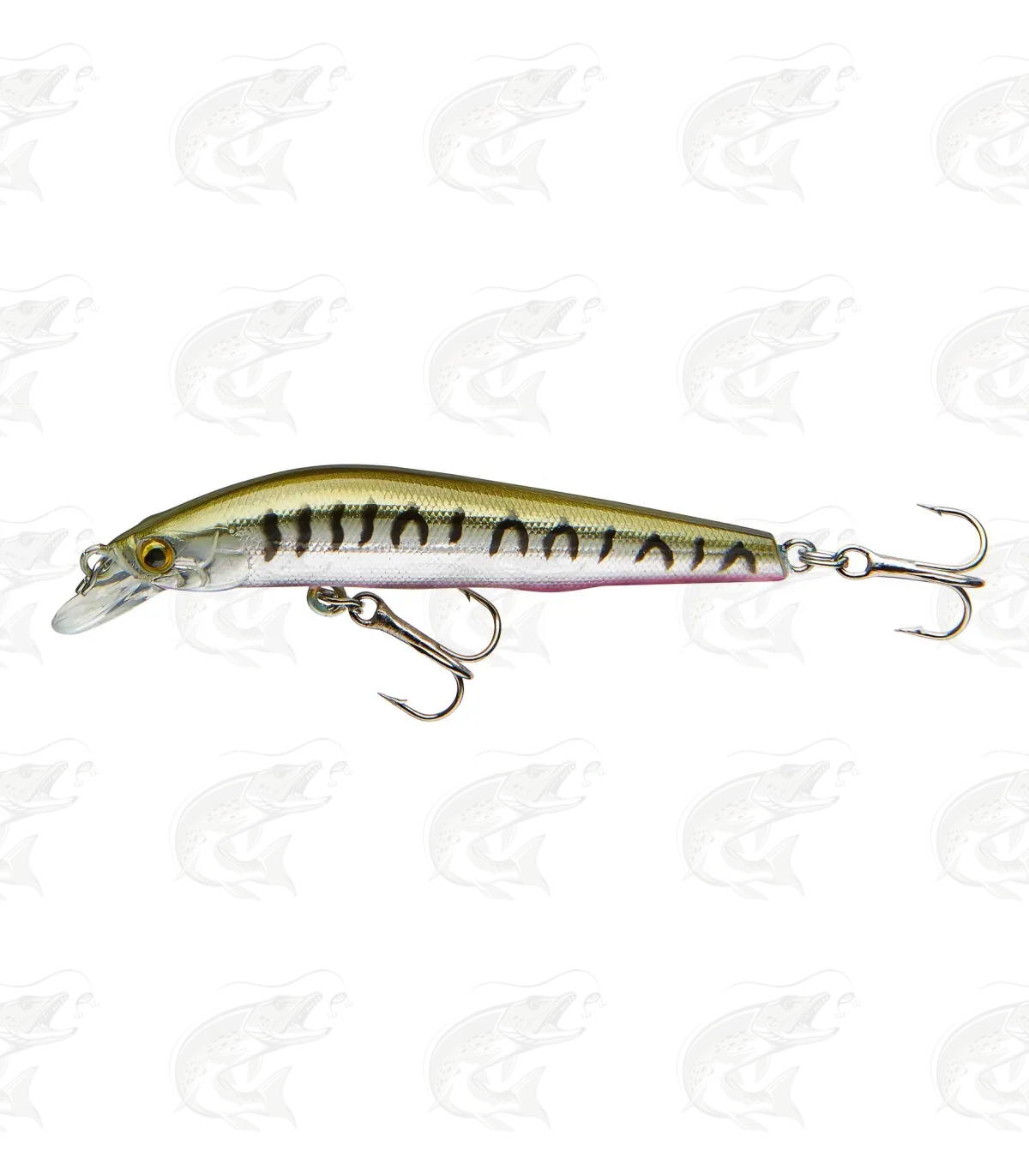 Cormoran Cor F11 6 Cormoran Cor F11 - Image 6