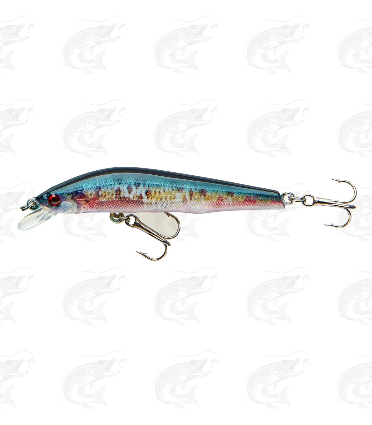 Cormoran Cor F11 1 Cormoran Cor F11