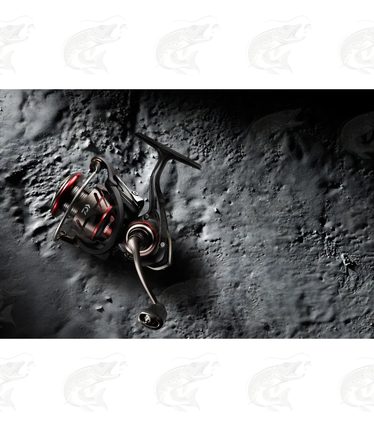 Daiwa Ballistic LT 5 Daiwa Ballistic LT - Image 5