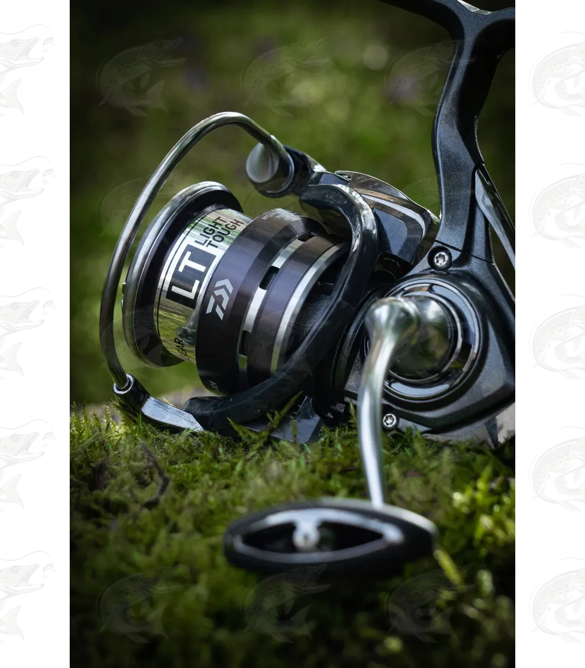 Daiwa Exceler LT 3 Daiwa Exceler LT - Image 3