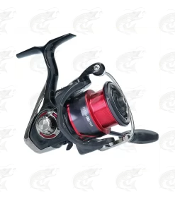 Daiwa Fuego LT 11 Daiwa Fuego LT -Pro Fish Gear Shop daiwa fuego lt 5