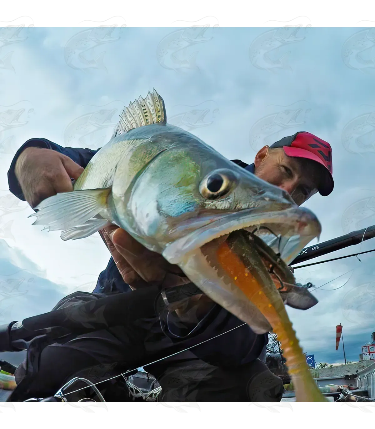 Daiwa Tournament D'Fin 20 Daiwa Tournament D'Fin - Image 20