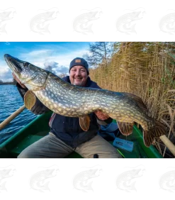 Daiwa Tournament XL Shiner 130F -Pro Fish Gear Shop daiwa tournament xl shiner 130f 9