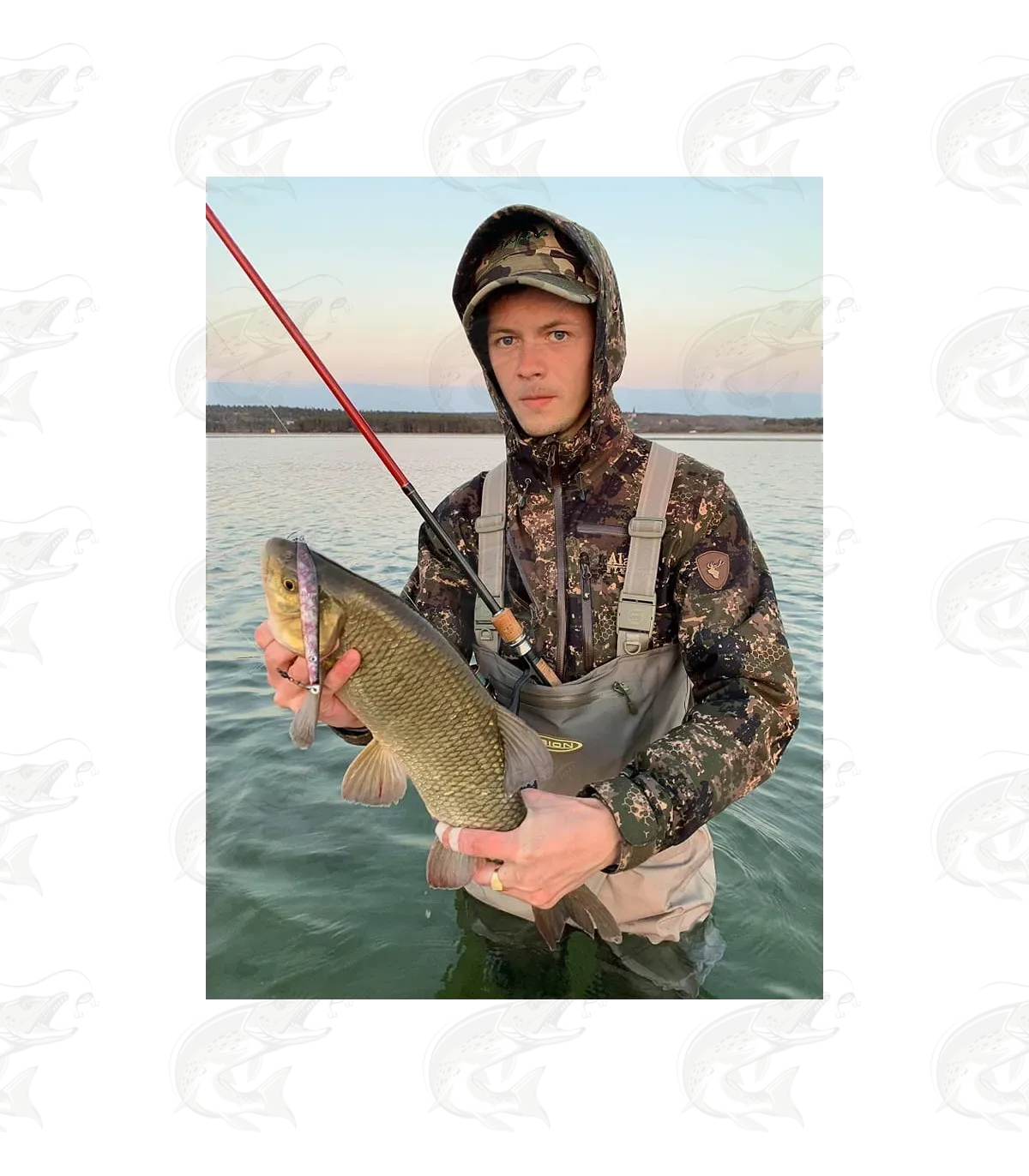 ESTLANT "Seatrout" 16 ESTLANT "Seatrout" - Image 16