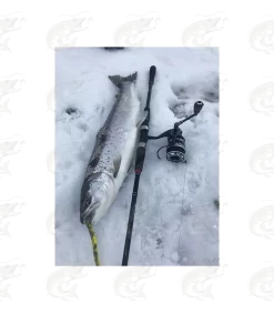 ESTLANT "Seatrout" 38 ESTLANT "Seatrout" -Pro Fish Gear Shop estlant seatrout 18