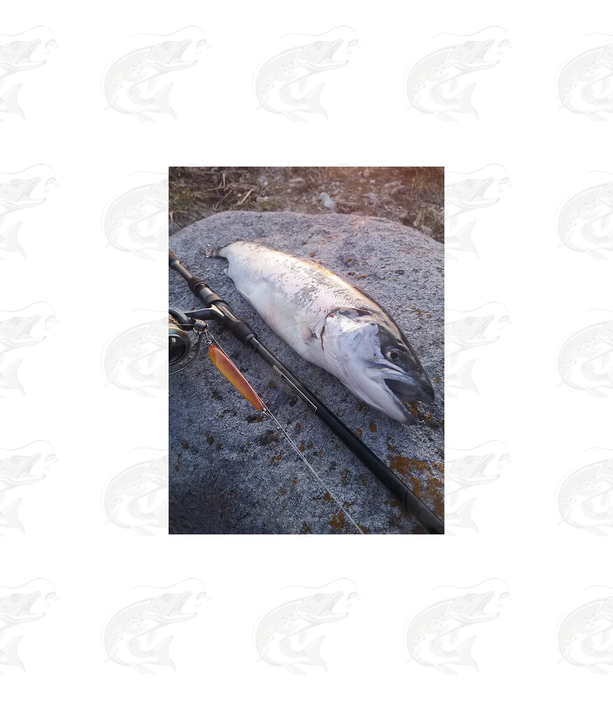 ESTLANT "Seatrout" 20 ESTLANT "Seatrout" - Image 20