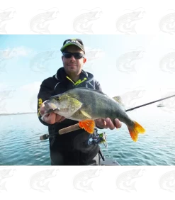 Gunki Grubby Shad -Pro Fish Gear Shop gunki grubby shad soft bait 12