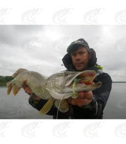 Gunki Grubby Shad -Pro Fish Gear Shop gunki grubby shad soft bait 13