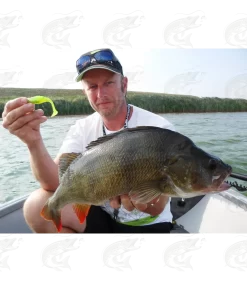 Gunki Grubby Shad -Pro Fish Gear Shop gunki grubby shad soft bait 14