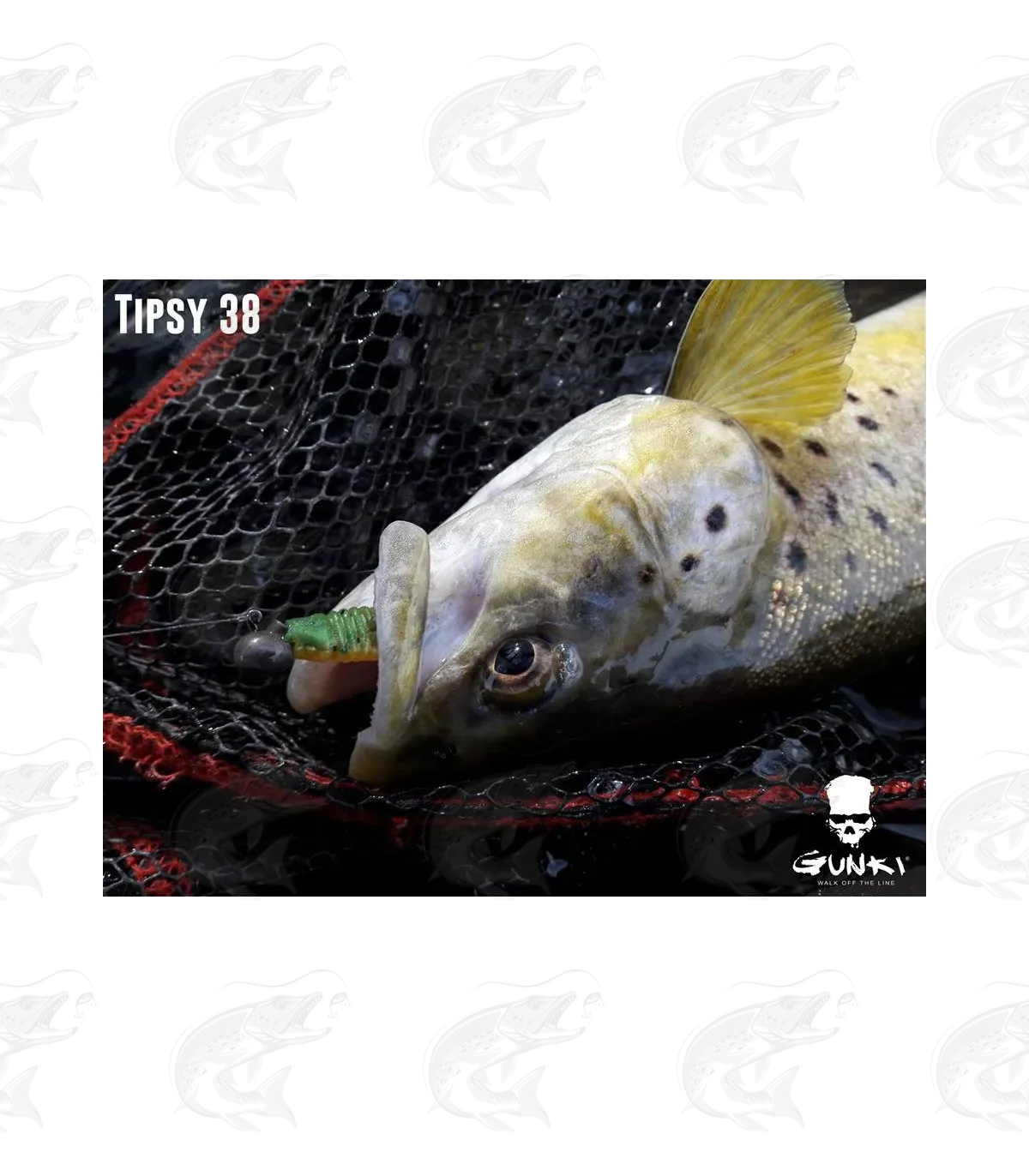 Gunki Tipsy-V 10 Gunki Tipsy-V - Image 10