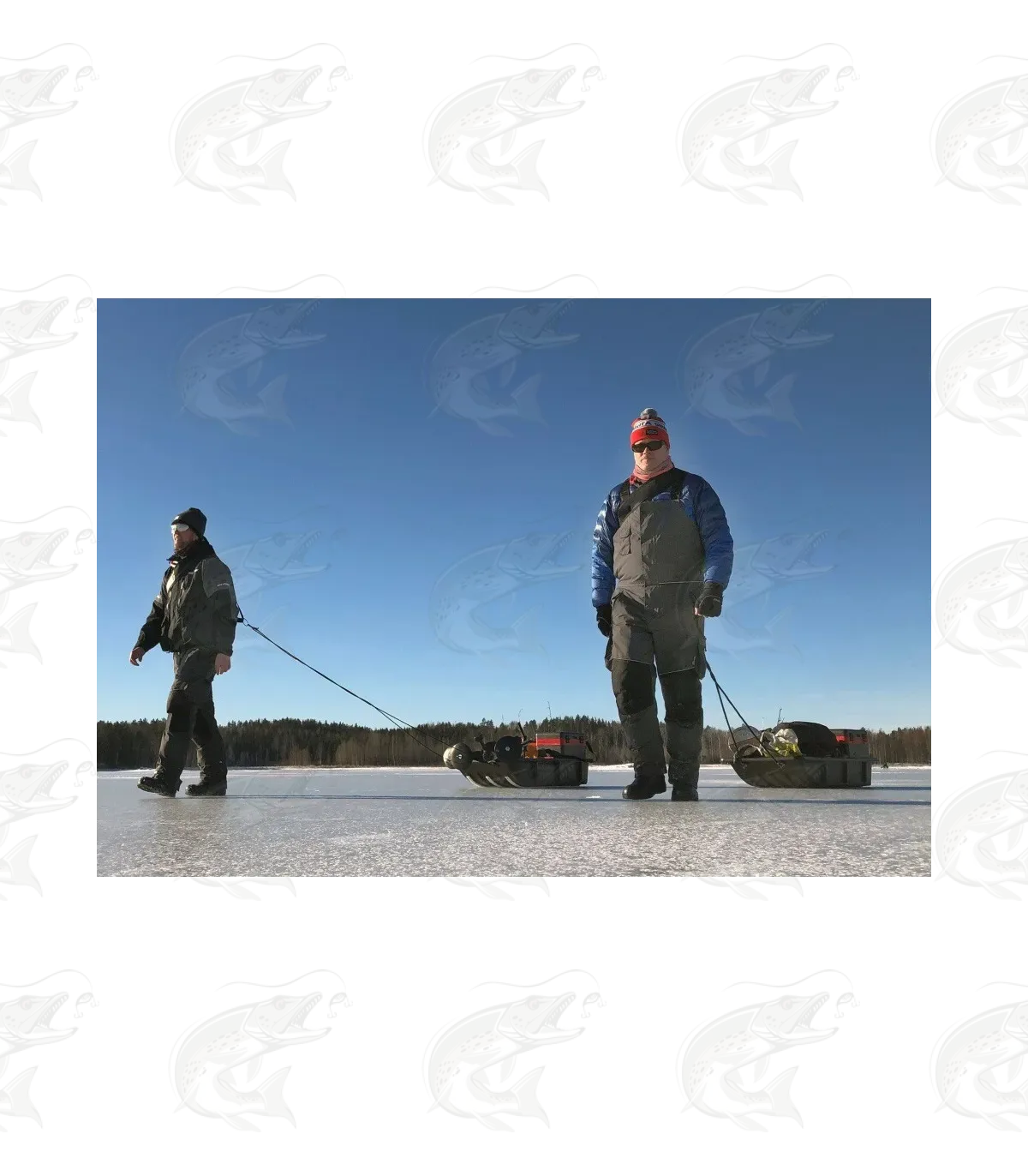 Haghus Sled Pulling Shoulder Strap 2 Haghus Sled Pulling Shoulder Strap - Image 2