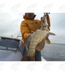 Handmade Spinners "MB Sukre" -Pro Fish Gear Shop handmade spinners mb sukre 18