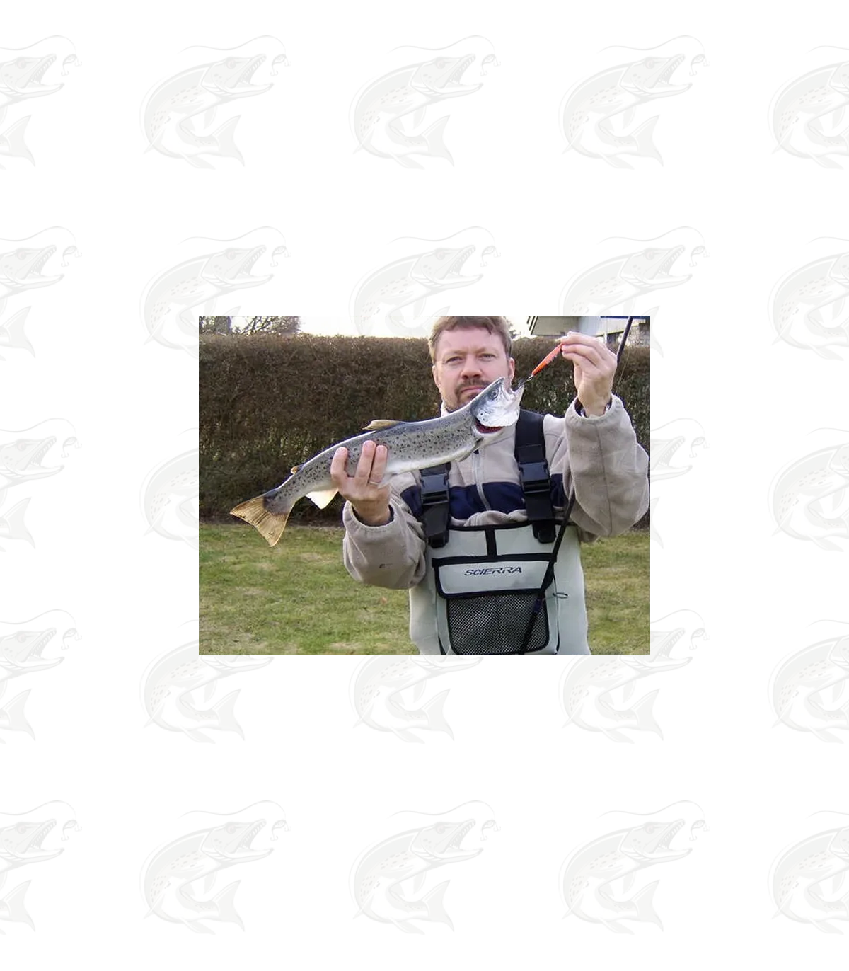 Hansen Lotus 11 Hansen Lotus - Image 11