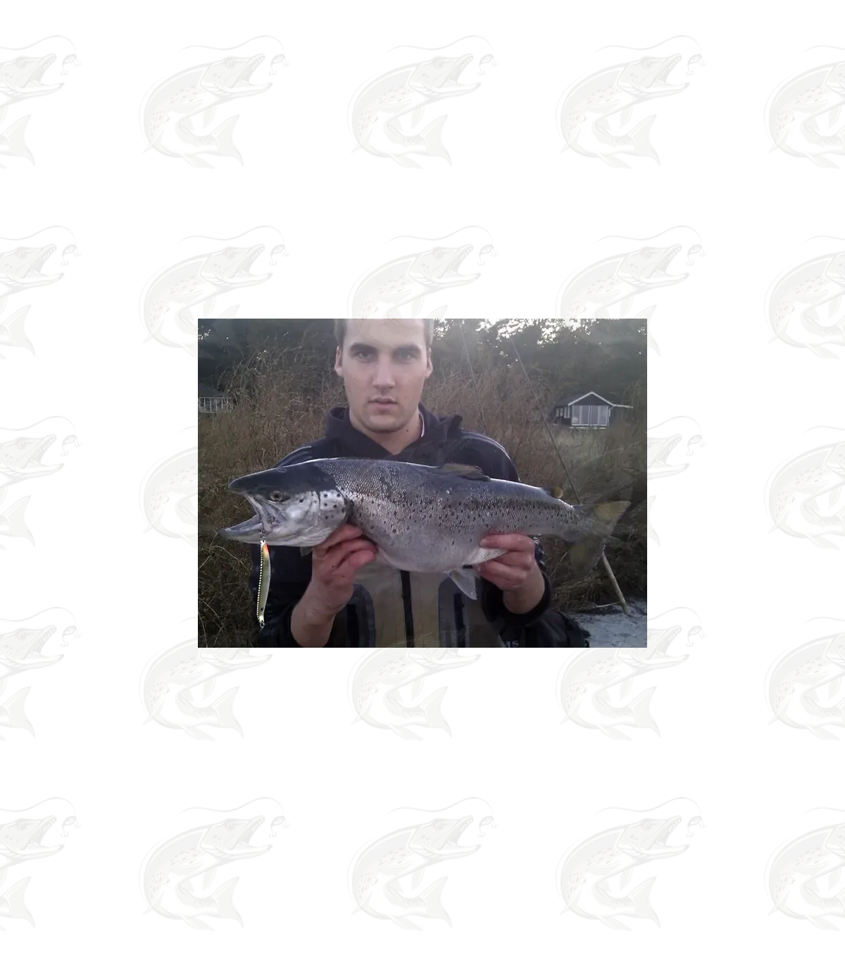 Hansen Lotus 7 Hansen Lotus - Image 7