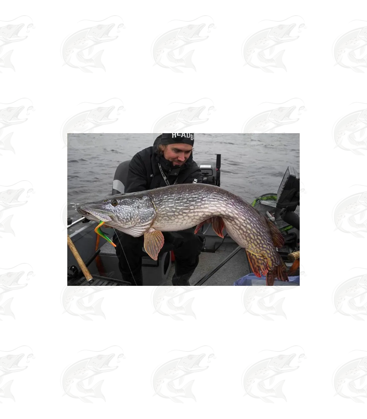 Headbanger FireTail 12 Headbanger FireTail - Image 12