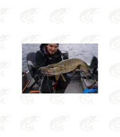 Headbanger FireTail 28 Headbanger FireTail -Pro Fish Gear Shop headbanger firetail softbait 13