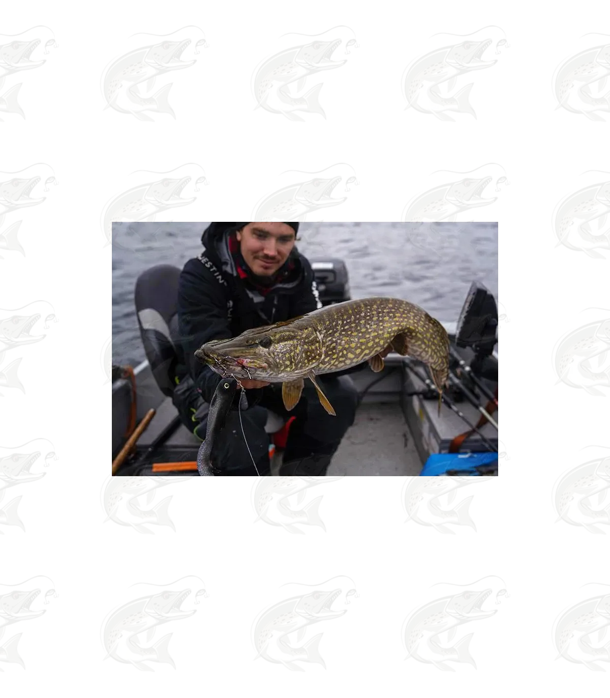 Headbanger FireTail 14 Headbanger FireTail - Image 14