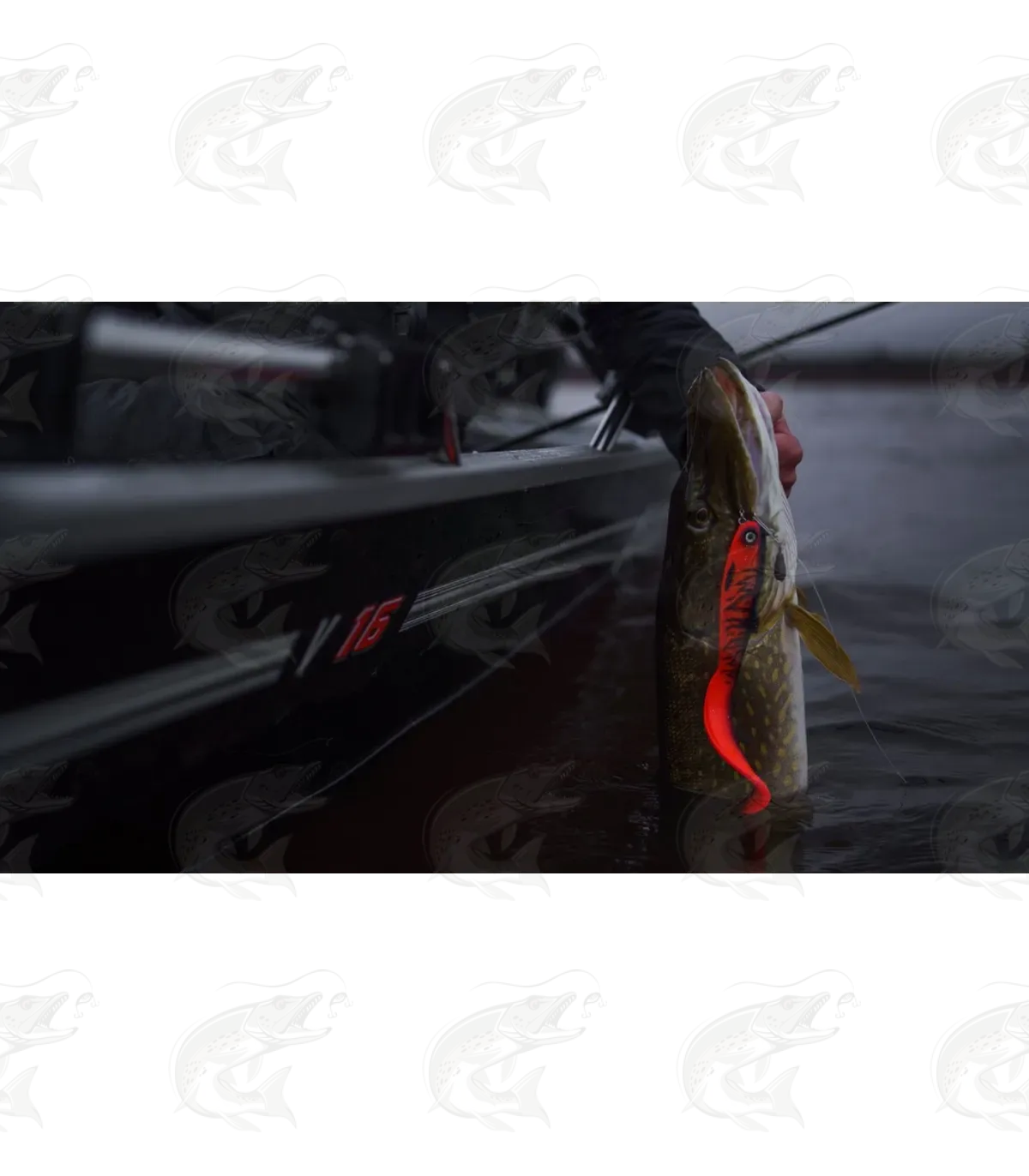 Headbanger FireTail 15 Headbanger FireTail - Image 15