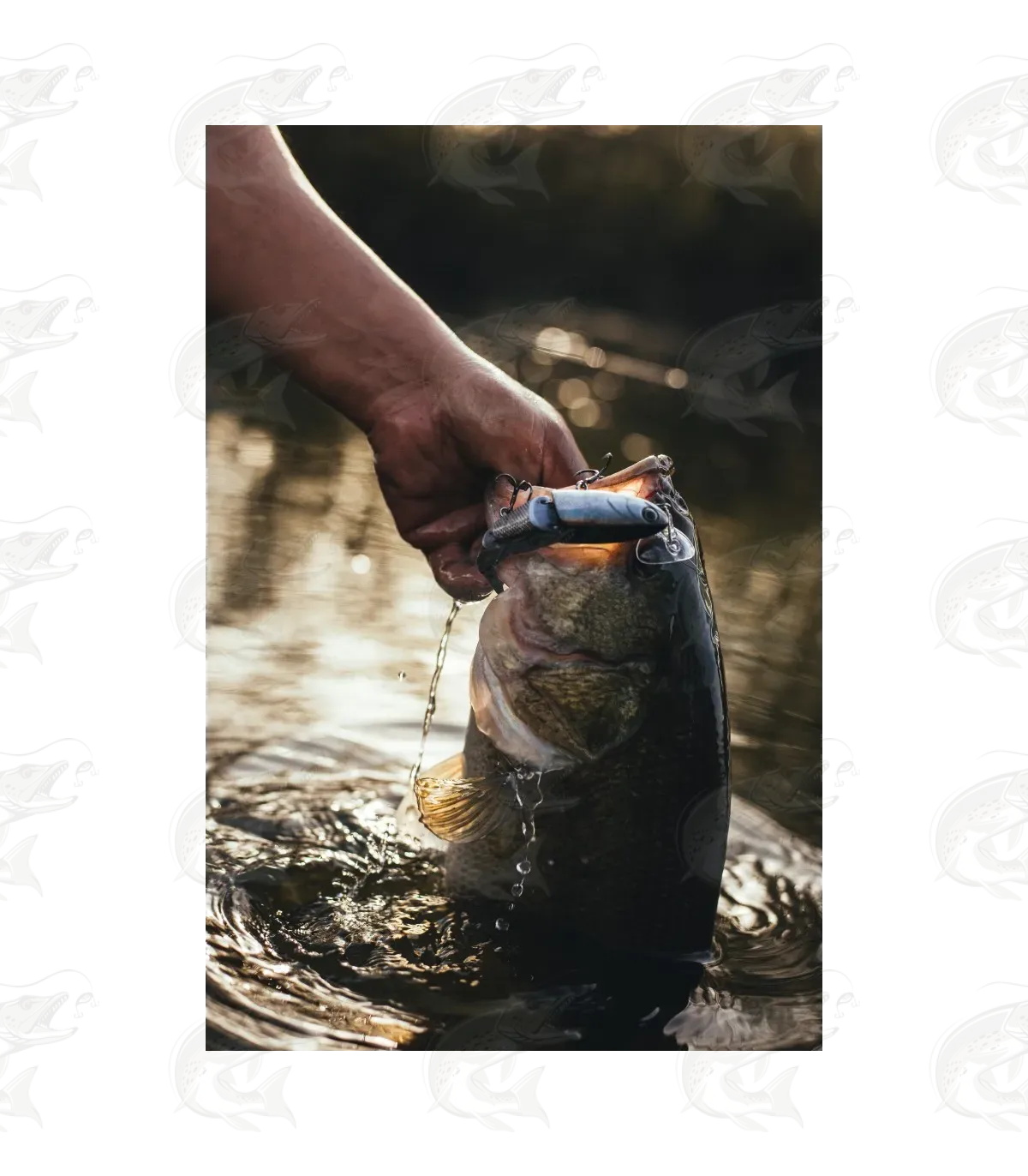 Headbanger Spitfire 14 Headbanger Spitfire - Image 14