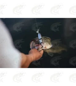 Headbanger Spitfire 23 Headbanger Spitfire -Pro Fish Gear Shop headbanger spitfire topwater lure 9