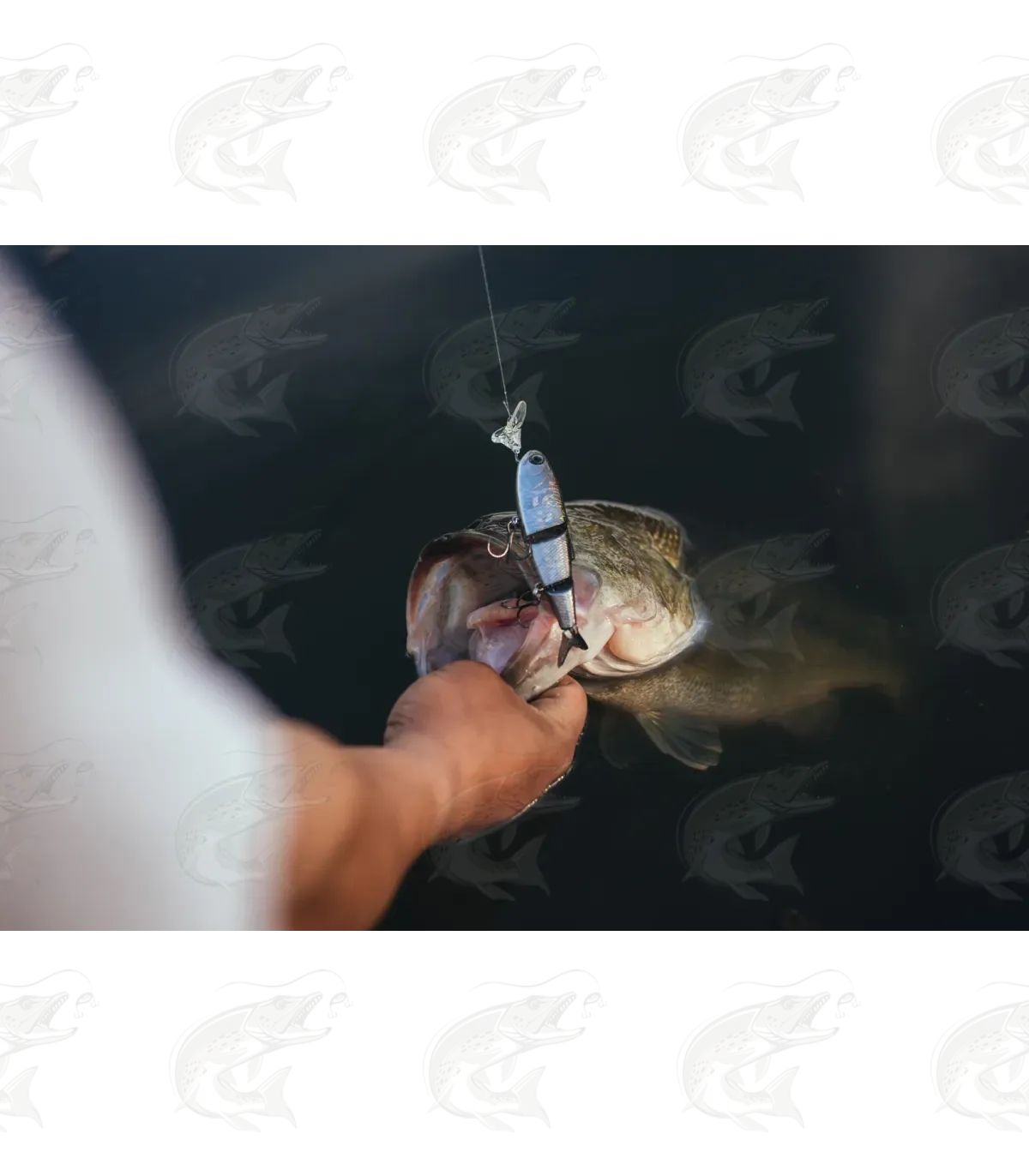 Headbanger Spitfire 10 Headbanger Spitfire - Image 10