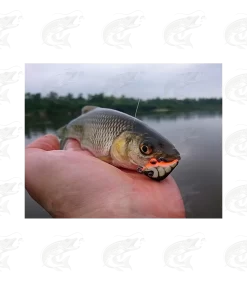 HMG Lures KillerEGG -Pro Fish Gear Shop hmg lures killeregg 8