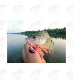 HMG Lures KillerEGG FAT -Pro Fish Gear Shop hmg lures killeregg fat 8