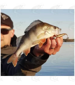 K.P BAITS Flash Shad 29 K.P BAITS Flash Shad -Pro Fish Gear Shop kp baits flash shad 14