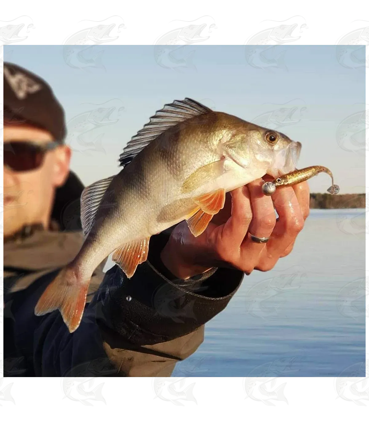 K.P BAITS Flash Shad 15 K.P BAITS Flash Shad - Image 15