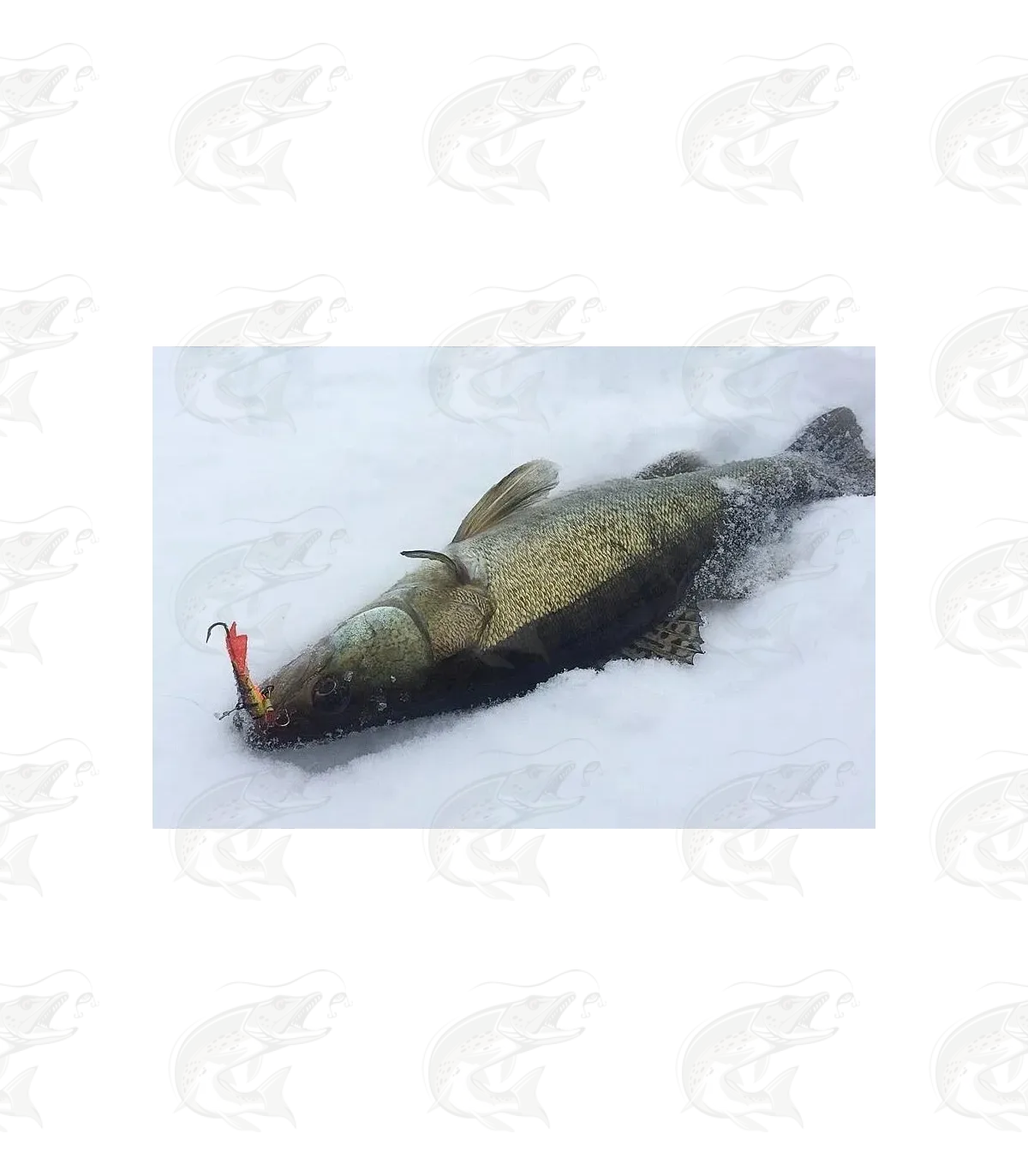 Krapal Handmade Balanced Jig 20 Krapal Handmade Balanced Jig - Image 20