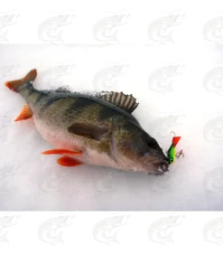 Lucky John Baltic Balanced Jig 26 Lucky John Baltic Balanced Jig -Pro Fish Gear Shop lucky john baltic balanced jig 11