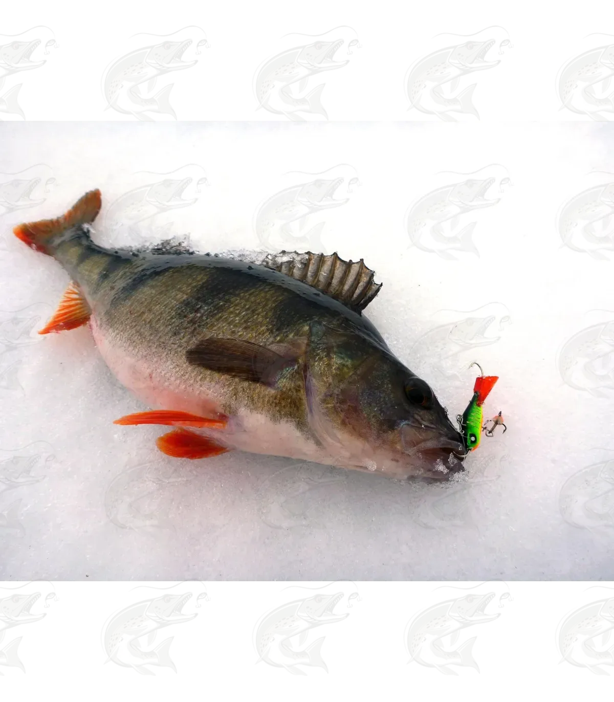 Lucky John Baltic Balanced Jig 12 Lucky John Baltic Balanced Jig - Image 12