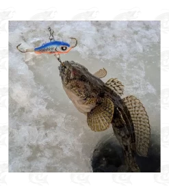 Lucky John Baltic Balanced Jig 27 Lucky John Baltic Balanced Jig -Pro Fish Gear Shop lucky john baltic balanced jig 12