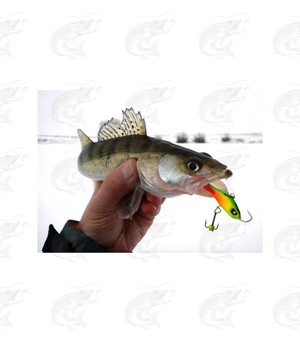 Lucky John Baltic Balanced Jig 14 Lucky John Baltic Balanced Jig - Image 14