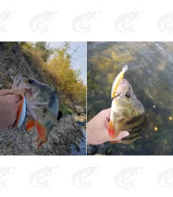 Lucky John Pro Silver Shiner -Pro Fish Gear Shop lucky john pro silver shiner 10