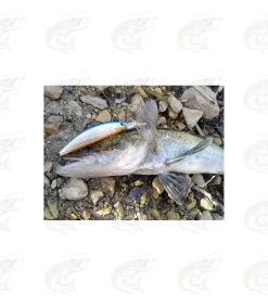 Lucky John Pro Silver Shiner -Pro Fish Gear Shop lucky john pro silver shiner 11