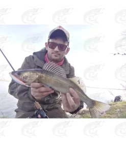 Lucky John Pro Silver Shiner -Pro Fish Gear Shop lucky john pro silver shiner 9