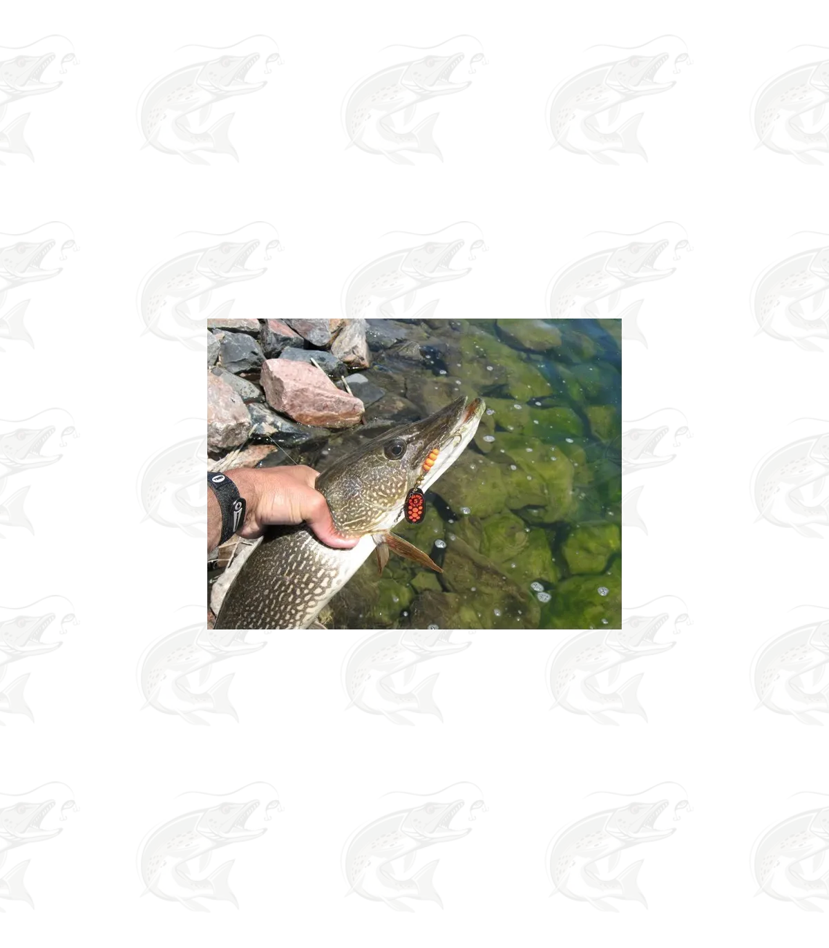 Mepps Black Fury 13 Mepps Black Fury - Image 13