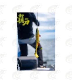 Pike Rig "BKK UV Spear Stinger Rig" 5 Pike Rig "BKK UV Spear Stinger Rig" -Pro Fish Gear Shop pike rig bkk uv spear stinger rig 2