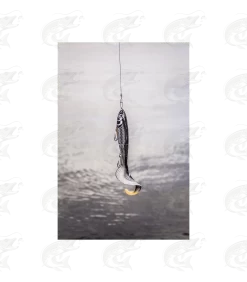 Rapala X-Rap Otus -Pro Fish Gear Shop rapala x rap otus 14