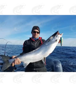 Rhino MAG & Xtra MAG Trolling Spoon 20 Rhino MAG & Xtra MAG Trolling Spoon -Pro Fish Gear Shop rhino mag xtra mag trolling spoon 8