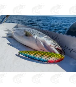 Rhino Salty Diamond -Pro Fish Gear Shop rhino salty diamond trolling spoon 10