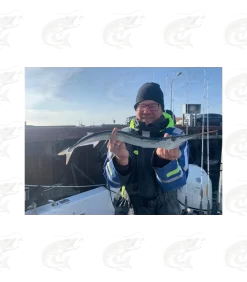 Rhino Salty Diamond -Pro Fish Gear Shop rhino salty diamond trolling spoon 7