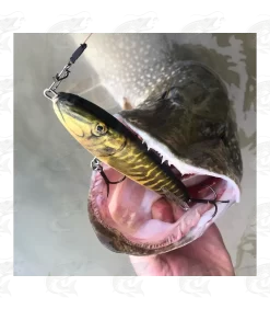 Salmo Sweeper -Pro Fish Gear Shop salmo sweeper 8