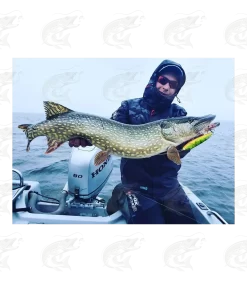 Salmo Sweeper -Pro Fish Gear Shop salmo sweeper 9